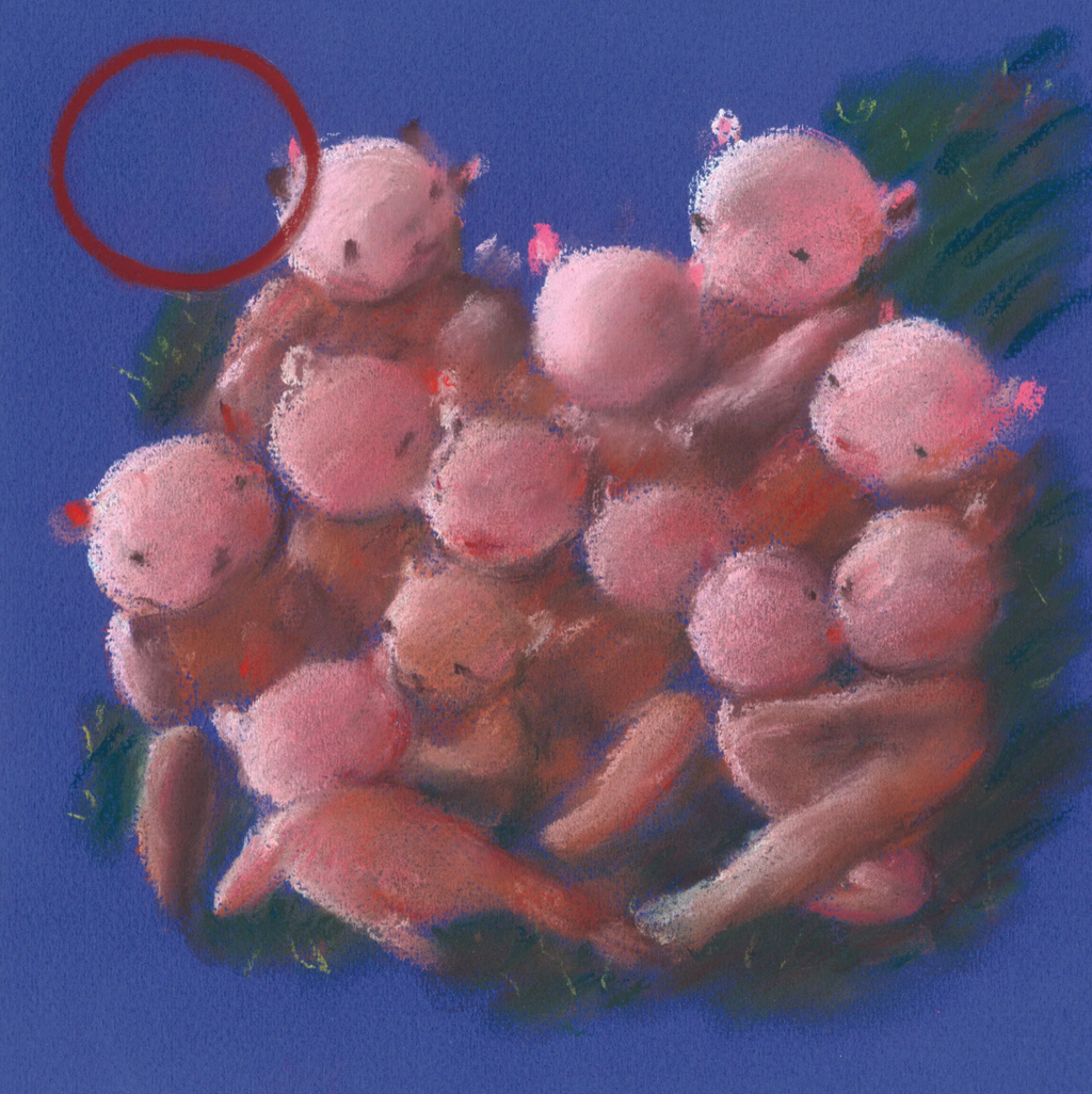 ABC of Sex Book